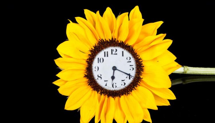 تصاویر استوک خلاقانه   Images of a creative idea