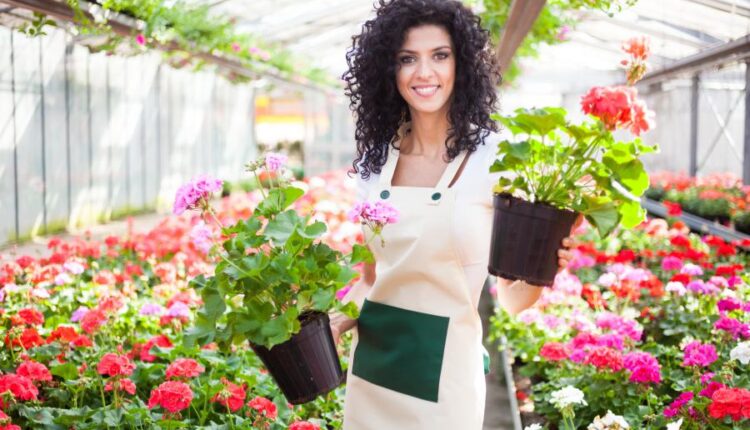 عکس استوک باغبان و باغچه   People and gardening