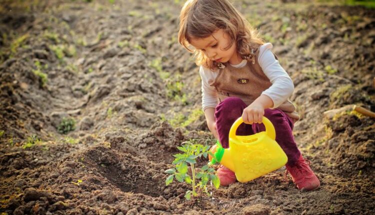 عکس استوک باغبان و باغچه   People and gardening