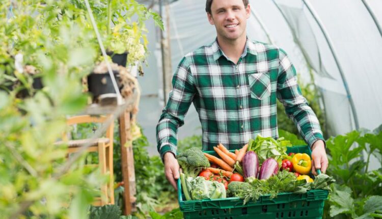 عکس استوک باغبان و باغچه   People and gardening