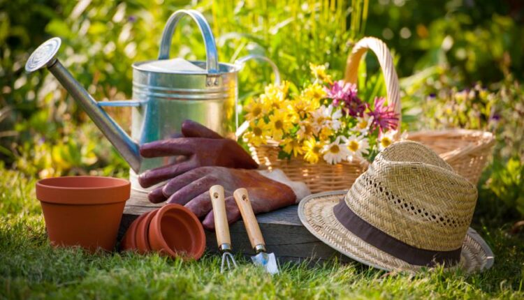 عکس استوک باغبان و باغچه   People and gardening