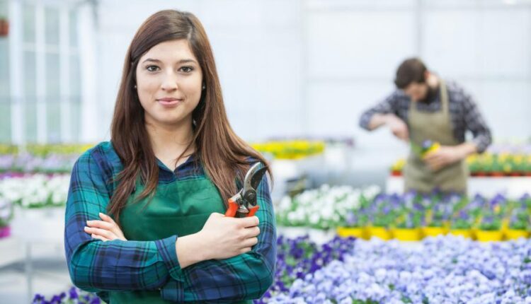 عکس استوک باغبان و باغچه   People and gardening