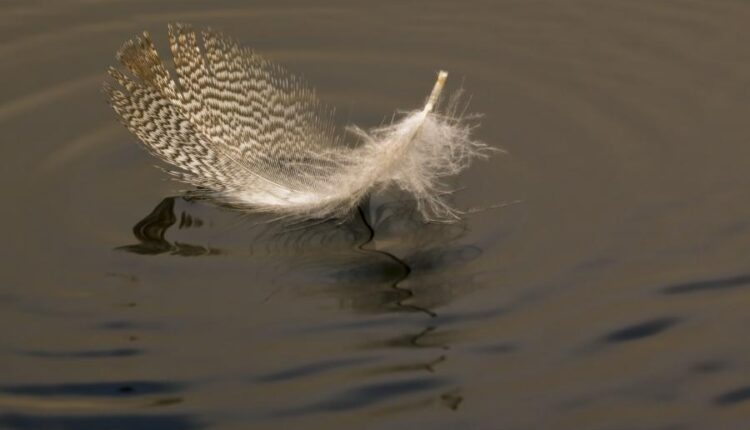 تصاویر استوک خلاقانه   Images of a creative idea