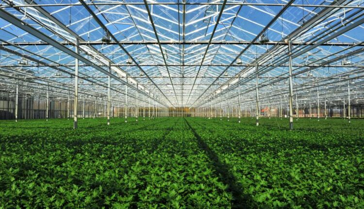 عکس استوک باغبان و باغچه   People and gardening