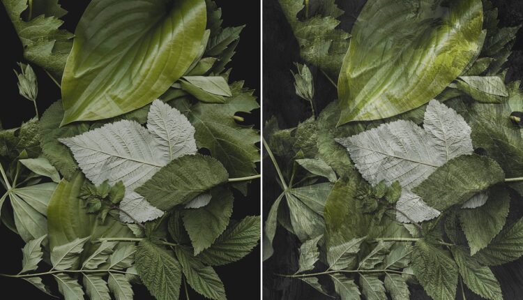 تکسچر رنگ اکرلیک   Fine Art Acrylic Paint Textures