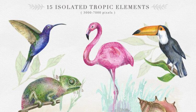 مجموعه کلیپ آرت حیوانات اهلی با طرح آبرنگی   Animals Watercolor