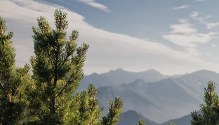 سری شصت و هفتم بک گراند برای کامپیوتر   Beautiful Wallpapers