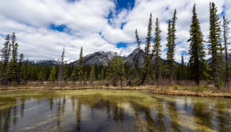 سری شصت و هفتم بک گراند برای کامپیوتر   Beautiful Wallpapers