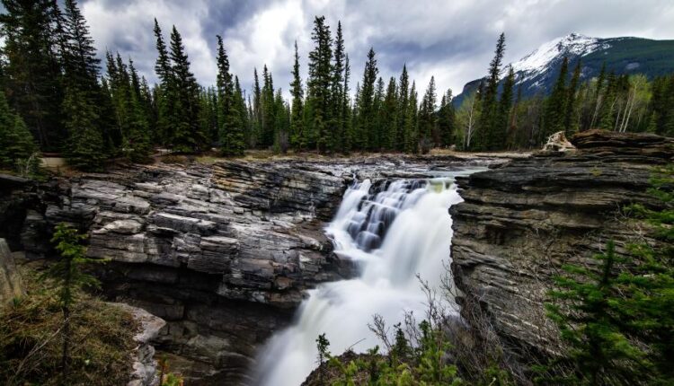 سری شصت و هفتم بک گراند برای کامپیوتر   Beautiful Wallpapers