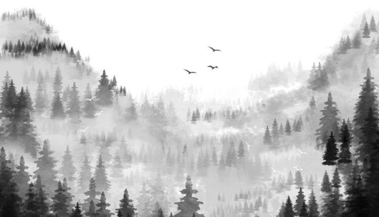 براش های برگ سبز درختان   Foliage Brushes Photoshop