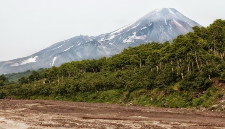 سری هفتادم والپیپر طبیعت برای کامپیوتر   Most Wanted Wallpapers