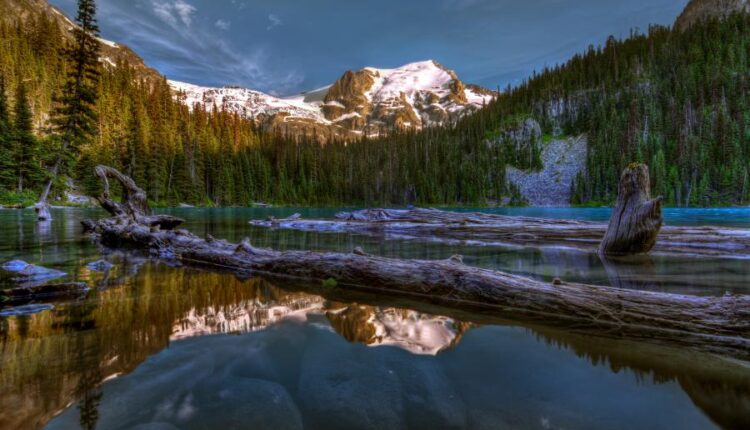 سری هفتادم والپیپر طبیعت برای کامپیوتر   Most Wanted Wallpapers