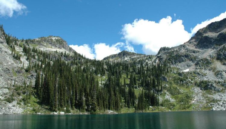 سری هفتادم والپیپر طبیعت برای کامپیوتر   Most Wanted Wallpapers