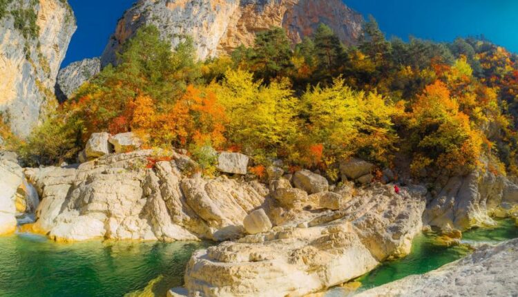 سری هفتادم والپیپر طبیعت برای کامپیوتر   Most Wanted Wallpapers