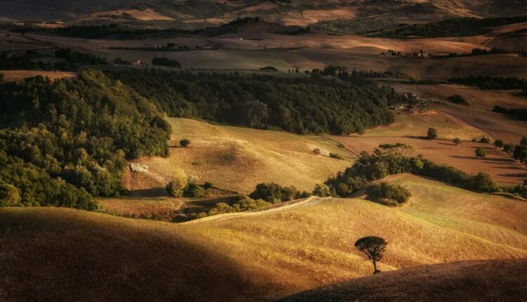 سری هفتادم والپیپر طبیعت برای کامپیوتر   Most Wanted Wallpapers