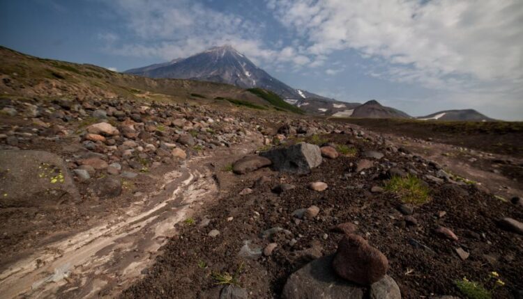 سری هفتادم والپیپر طبیعت برای کامپیوتر   Most Wanted Wallpapers