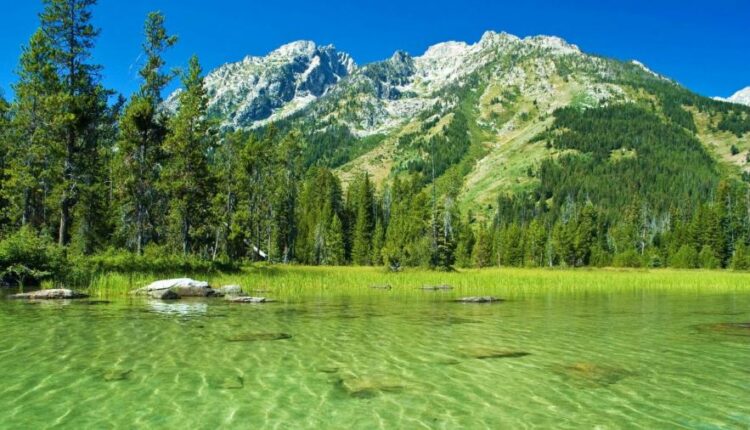 سری هفتادم والپیپر طبیعت برای کامپیوتر   Most Wanted Wallpapers