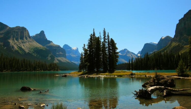 سری هفتادم والپیپر طبیعت برای کامپیوتر   Most Wanted Wallpapers