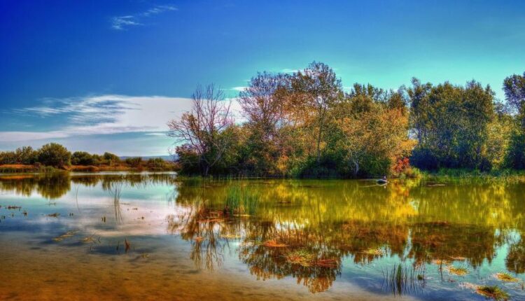 سری هفتادم والپیپر طبیعت برای کامپیوتر   Most Wanted Wallpapers