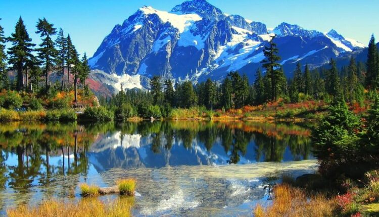 سری هفتادم والپیپر طبیعت برای کامپیوتر   Most Wanted Wallpapers