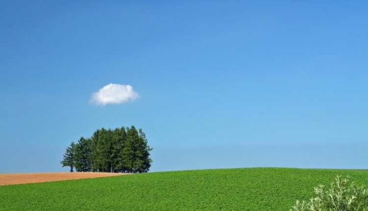 سری هفتادم والپیپر طبیعت برای کامپیوتر   Most Wanted Wallpapers