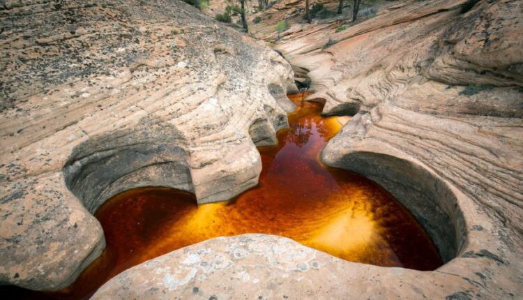 سری هفتادم والپیپر طبیعت برای کامپیوتر   Most Wanted Wallpapers