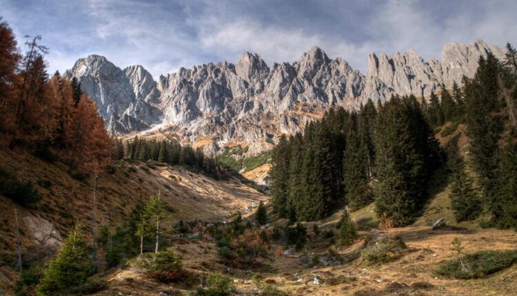 سری هفتادم والپیپر طبیعت برای کامپیوتر   Most Wanted Wallpapers