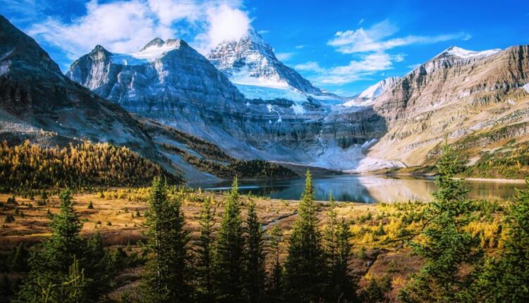 سری هفتادم والپیپر طبیعت برای کامپیوتر   Most Wanted Wallpapers