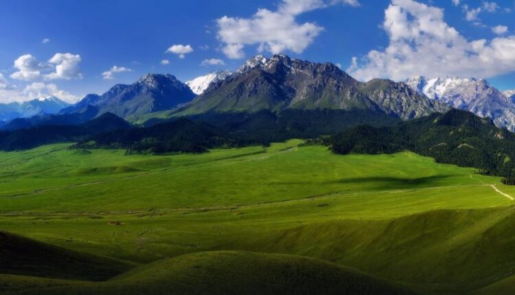 سری هفتادم والپیپر طبیعت برای کامپیوتر   Most Wanted Wallpapers