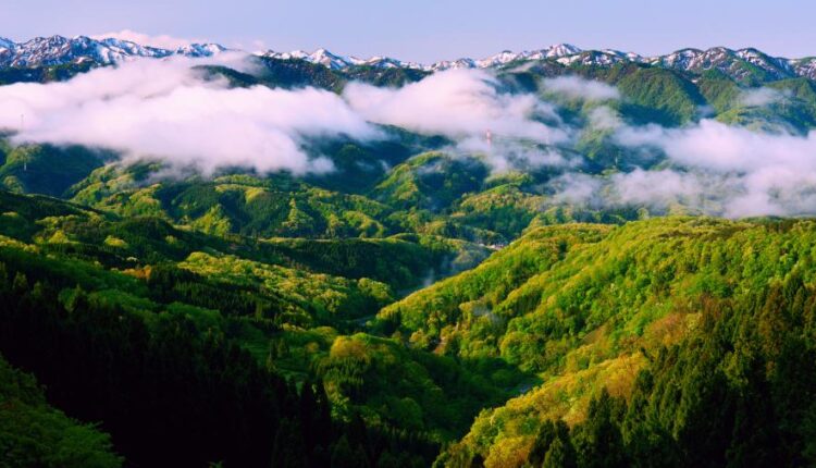 سری هفتادم والپیپر طبیعت برای کامپیوتر   Most Wanted Wallpapers