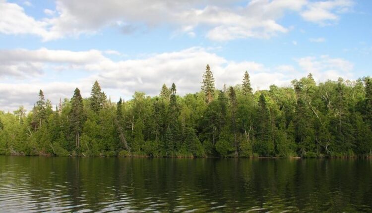 سری شصت و ششم عکس زمینه برای کامپیوتر   Beautiful Wallpapers