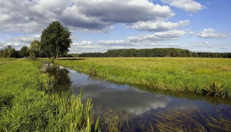 سری شصت و ششم عکس زمینه برای کامپیوتر   Beautiful Wallpapers