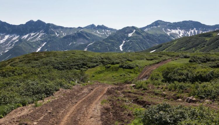 سری شصت و ششم عکس زمینه برای کامپیوتر   Beautiful Wallpapers