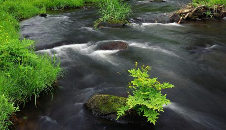 سری شصت و ششم عکس زمینه برای کامپیوتر   Beautiful Wallpapers