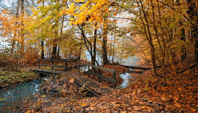 سری شصت و ششم عکس زمینه برای کامپیوتر   Beautiful Wallpapers