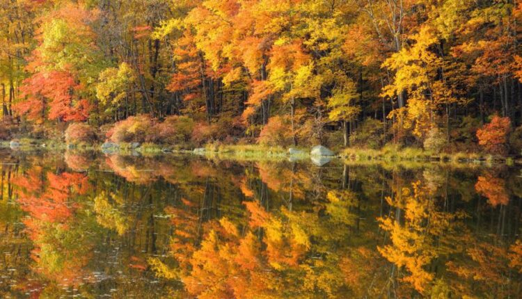 سری شصت و ششم عکس زمینه برای کامپیوتر   Beautiful Wallpapers