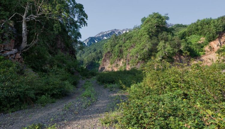 سری شصت و ششم عکس زمینه برای کامپیوتر   Beautiful Wallpapers