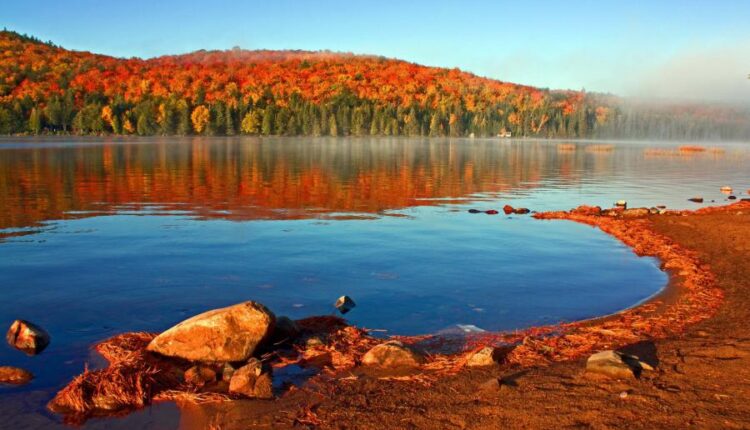 سری شصت و ششم عکس زمینه برای کامپیوتر   Beautiful Wallpapers