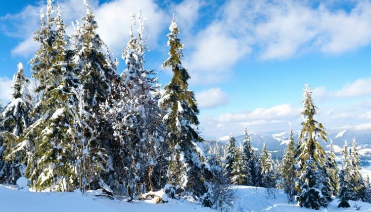 سری شصت و ششم عکس زمینه برای کامپیوتر   Beautiful Wallpapers