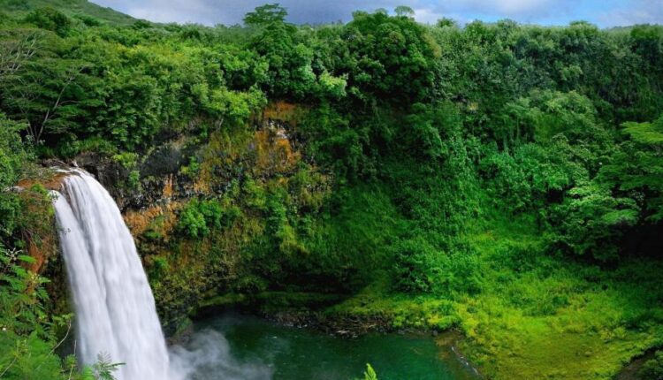 سری شصت و ششم عکس زمینه برای کامپیوتر   Beautiful Wallpapers