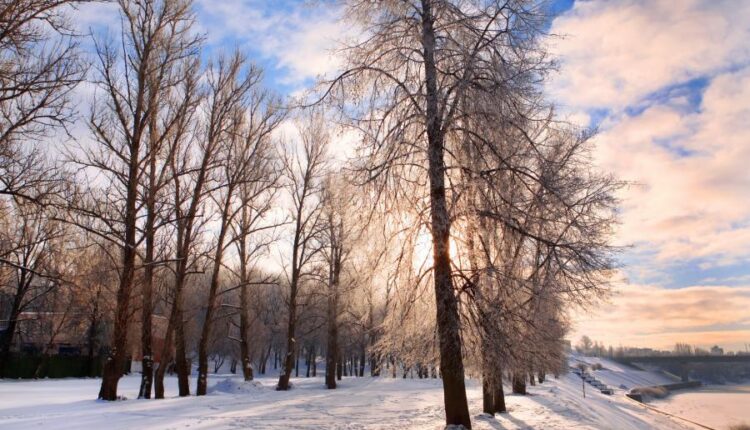 سری شصت و ششم عکس زمینه برای کامپیوتر   Beautiful Wallpapers