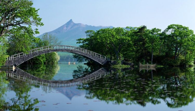 سری شصت و ششم عکس زمینه برای کامپیوتر   Beautiful Wallpapers