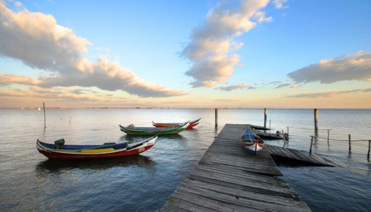 سری شصت و ششم عکس زمینه برای کامپیوتر   Beautiful Wallpapers