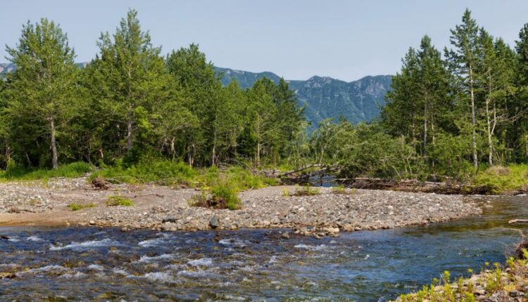 سری شصت و ششم عکس زمینه برای کامپیوتر   Beautiful Wallpapers