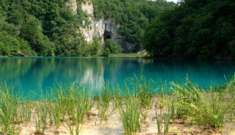 سری شصت و ششم عکس زمینه برای کامپیوتر   Beautiful Wallpapers