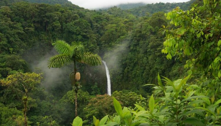 سری شصت و ششم عکس زمینه برای کامپیوتر   Beautiful Wallpapers