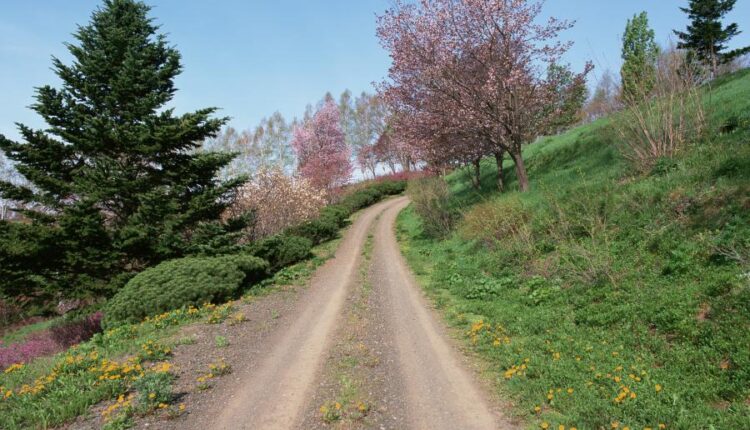 سری شصت و ششم عکس زمینه برای کامپیوتر   Beautiful Wallpapers