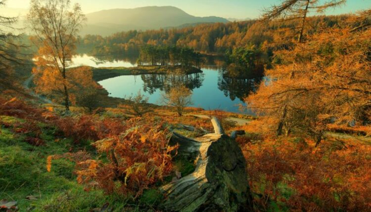 سری شصت و ششم عکس زمینه برای کامپیوتر   Beautiful Wallpapers