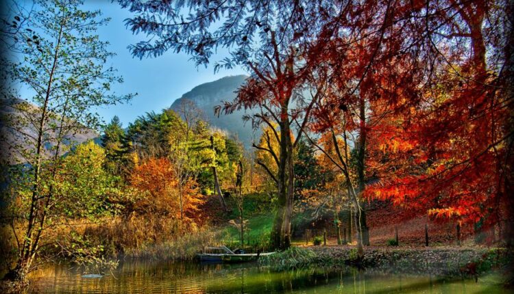 سری شصت و ششم عکس زمینه برای کامپیوتر   Beautiful Wallpapers