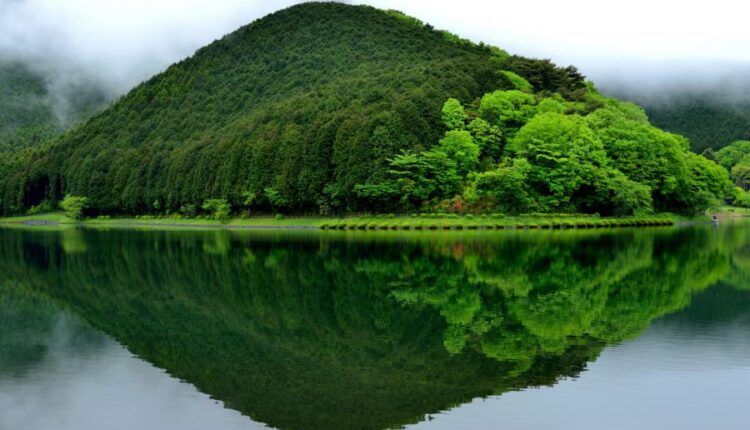 سری شصت و ششم عکس زمینه برای کامپیوتر   Beautiful Wallpapers